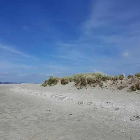 Tiny House Jet Chalet *