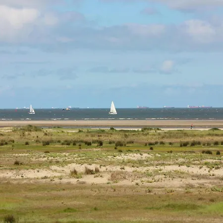 Tiny House Jet Alpstuga Goedereede