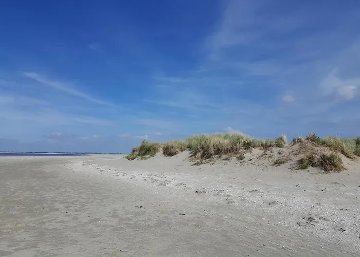 シャレー Tiny House Jet Goedereede