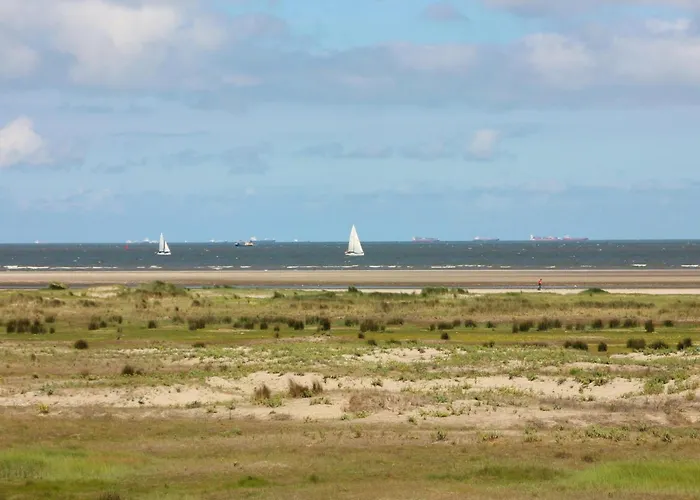 Tiny House Jet Alpehytte Goedereede