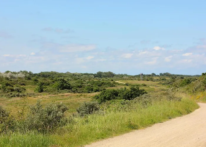 Alpehytte Tiny House Jet *